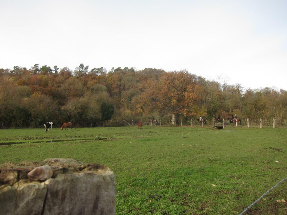 Le Murmure De La Falaise Bed and Breakfast Beaumont-le-Roger Exterior foto